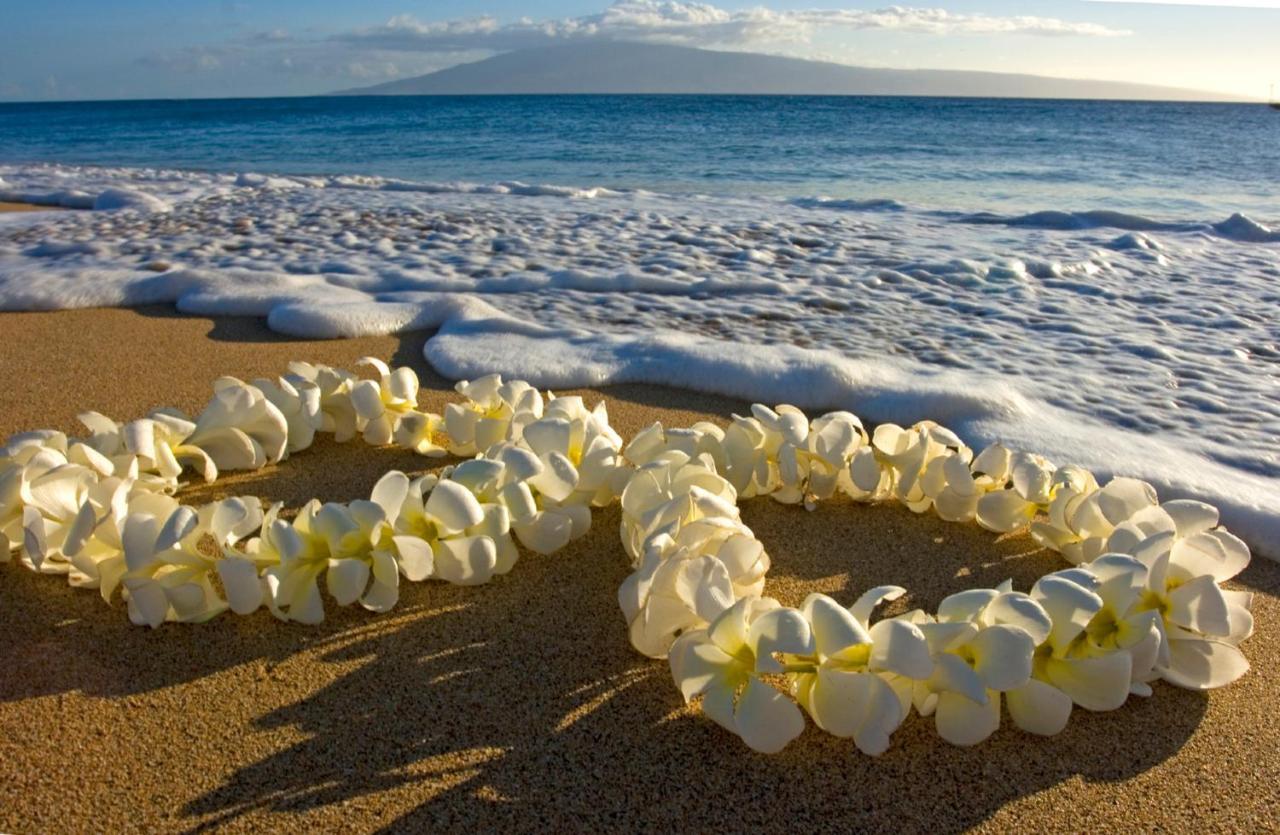 Mountain View Getaway, Free Parking And Beach Steps Away Honolulu Extérieur photo