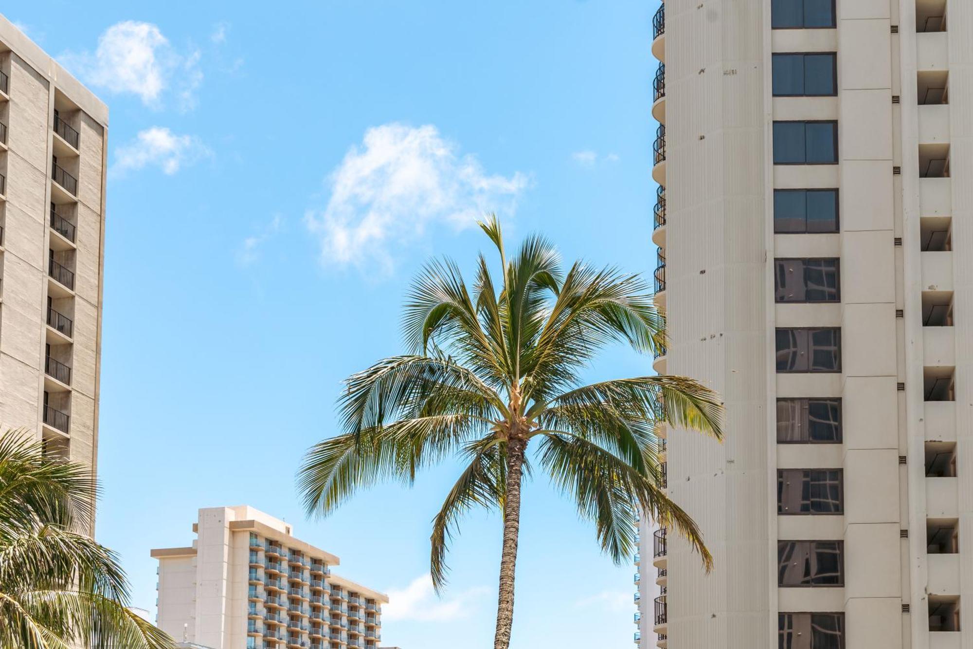 Mountain View Getaway, Free Parking And Beach Steps Away Honolulu Extérieur photo